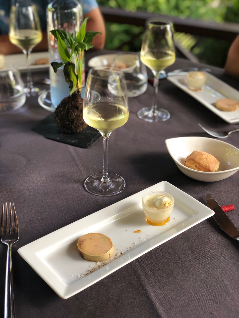 médaillon de foie gras la case pitey